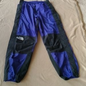 North Face blue Violet pants size L